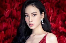 Nhan sắc kiều diễm của Trần Hoàng Ái Nhi thi Miss Intercontinental 2021