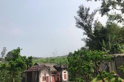 Bỏ việc văn phòng, 9x trở về dựng nhà xưa, khách thi nhau đặt mua