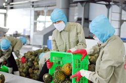 Kinh tế Việt Nam được dự báo tăng trưởng tích cực trong năm 2022