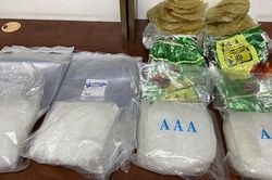 4,6kg ma túy ngụy trang trong cá khô và sứa biển xuất khẩu