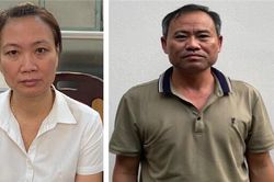 Cơ quan điều tra Bộ Công an khởi tố 4 bị can liên quan dự án trồng mới cây xanh tại Hà Nội