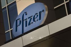 Pfizer thử nghiệm lâm sàng thuốc viên kháng virus SARS-CoV-2