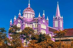 Về Nghệ An, ghé thăm nhà thờ màu tím ngọt ngào như bước ra từ cổ tích