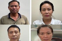 Nâng khống hàng chục tỷ đồng giá cây xanh ở Hà Nội: Khởi tố 4 bị can