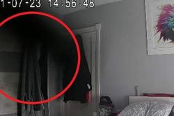 Chó cưng nhất định không chịu vào phòng, chủ thấy lạ nên lắp camera thì chết sững với thứ trước mắt