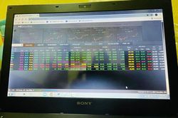 Sắc xanh lan tỏa, VN-Index hồi phục tăng hơn 14 điểm