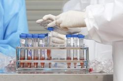 Đại biểu Quốc hội Lê Thanh Vân: Giá test kit biến động, trách nhiệm thuộc về Bộ Y tế
