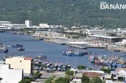 Cảng cá, chợ đầu mối thủy sản Thọ Quang hoạt động trở lại từ 6 giờ sáng 30-9