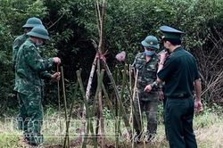 Giữ gìn loài hoa đặc trưng Tây Bắc