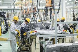 Kim ngạch xuất khẩu sang Hà Lan tăng trưởng tích cực