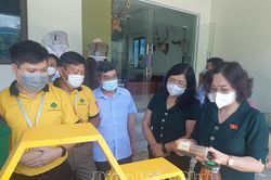 Tăng cường triển khai thực hiện chính sách, pháp luật về Chương trình OCOP