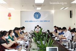 Hội nghị trực tuyến toàn quốc triển khai Nghị quyết 116 của Chính phủ