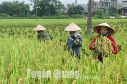 Không để thiếu hụt nguồn cung lương thực, thực phẩm dịp cuối năm