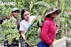 Nắng phía làng Cheng Tông…