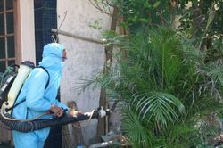 Y tế - Sức khỏe Y tế - Sức khỏe Kiểm tra công tác phòng chống sốt xuất huyết tại Phú Lộc