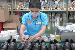 Nhóm hàng cần thiết chiếm gần 89% tổng kim ngạch nhập khẩu của cả nước