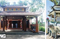 Truyền thuyết ngôi đình cháy và 'ông hổ rằn'