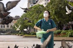 Bức ảnh tình nguyện viên cho chim bồ câu ăn trên phố đi bộ Nguyễn Huệ