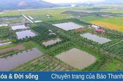 Sức sống mới ở xã nông thôn mới Hà Sơn