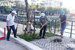 Duy trì các phong trào bảo vệ môi trường