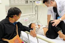 1 học sinh tử vong, 8 trẻ nguy kịch do ăn quả hồng trâu