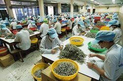 Phải 'khám sức khỏe' cho doanh nghiệp vừa và nhỏ