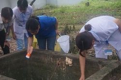 Số ca tử vong vì sốt xuất huyết tăng