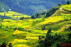 'Hành lang xanh' cho du lịch nội địa