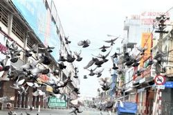 Nhiều chợ lớn ở Bình Dương vẫn 'cửa đóng then cài'