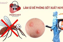 Đề phòng dịch sốt xuất huyết trong thời điểm giao mùa