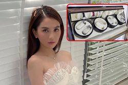 Ngọc Trinh từng mất bộ sưu tập đồng hồ trị giá 13 tỷ đồng, kết quả điều tra ra sao?