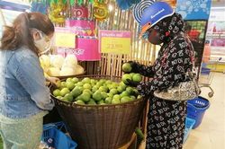 Kết nối thị trường tiêu thụ cho 53 sản phẩm OCOP của tỉnh