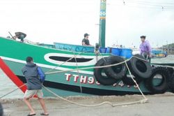 Chính trị - Xã hội Theo dòng thời sự 'Cấm biển' từ 14 giờ ngày 6/10