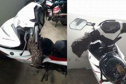 Hi hữu: Xe máy để lâu không chạy, đến ngày đi lại gặp cảnh 'khóc thét' thế này