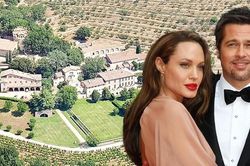 Mặc Brad Pitt kiện, Angelina Jolie bán hết cổ phần trong tài sản chung 164 triệu USD