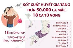 Sốt xuất huyết gia tăng, hơn 50.000 ca mắc, 18 người tử vong