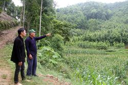 Bài 3 - Gia đình người Dao 'gieo' đổi thay ở Trà Trẩu