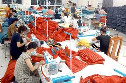 Tích cực chăm lo đời sống đồng bào Công giáo