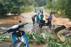 Hướng Hóa: Nhiều diện tích lúa vụ hè thu, hoa màu có nguy cơ thiệt hại do bão lụt