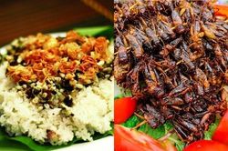Đến Yên Bái 'tròn mắt' xem người dân mang toàn côn trùng chế biến thành đặc sản