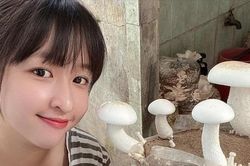 Niềm đam mê nấm của cô gái xứ Sen Hồng