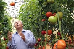 Bí quyết Israel dẫn đầu thế giới về nông nghiệp