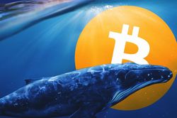'Cá voi Bitcoin' lớn thứ 3 thế giới vừa chốt lời
