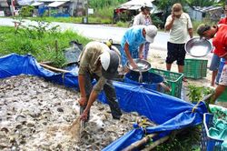 Chuyển đổi mô hình sản xuất nông nghiệp thích ứng với thiên tai