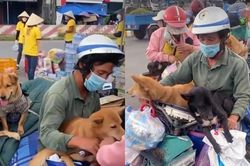 Làm rõ vụ tiêu hủy đàn chó của cặp vợ chồng về Cà Mau tránh dịch