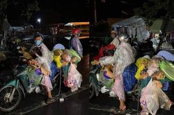 Chuyên gia nhận định tiêu hủy vật nuôi của bệnh nhân Covid-19 là không cần thiết