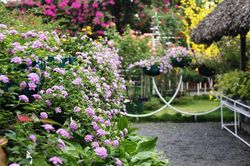 Mất vợ vào tay bạn thân sau 4 tháng mở chung cửa hàng