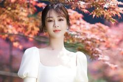 Dương Tử thắng vụ kiện antifan sau hơn 1 năm ròng rã, netizen hả hê: Cần phải bồi thường nhiều hơn nữa