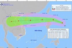 Lên phương án sẵn sàng ứng phó với bão Kompasu giật cấp 11