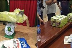 Phát hiện thêm 8 chất ma túy mới, lần đầu xuất hiện tại Việt Nam